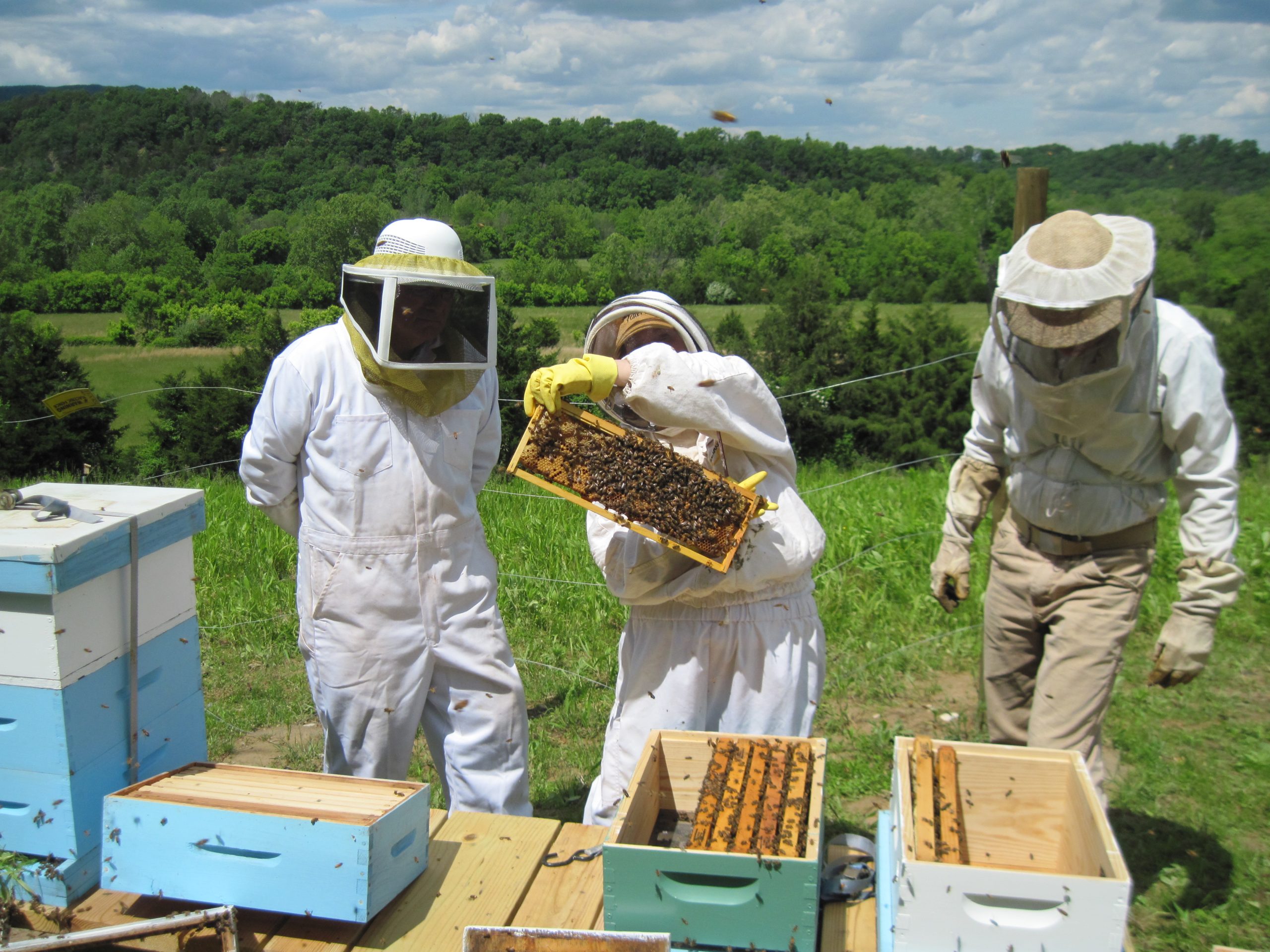 Three people working on bee hives